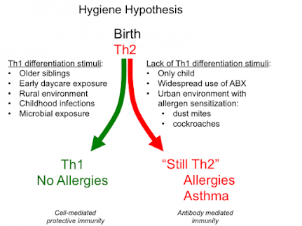 Hygiene Hypothesis