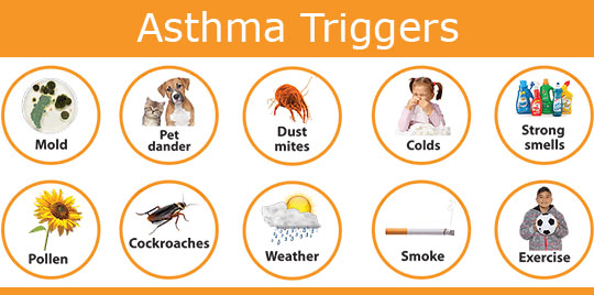 Asthma Trigger